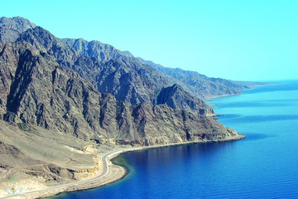 نيوم
