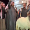 نعجة بـ40 ألف دينار كويتي