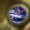 “جراخو” كربلاء يبقون حرفة صناعة هياكل الأراجيل الخشبية على قيد الحياة