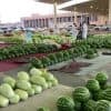 سوق “الحبحب” ببريدة.. يساهم في “الأمن الغذائي” بـ6.4 مليون حبة طوال الموسم