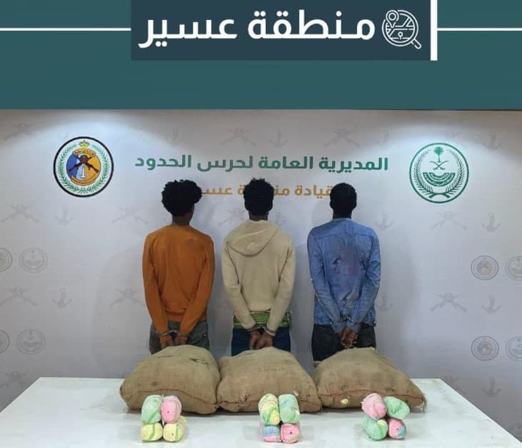 دوريات حرس الحدود بمنطقتَي عسير وجازان تحبط تهريب 426 كلجم من نبات القات والحشيش المخدرَين