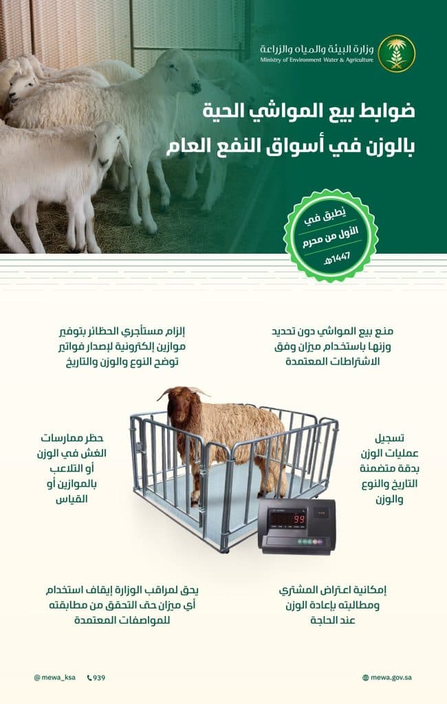 أعلنت ضوابطه وآلياته.. “البيئة”: تطبيق قرار بيع المواشي الحية بالوزن الخميس المقبل في أسواق النفع العام