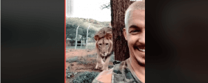 شاهد.. رجل يلعب “الغميضة” مع أسد