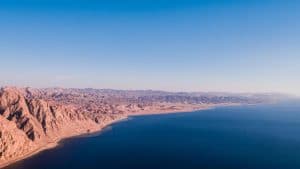 “نيوم”: التقديم على الوظائف.. يناير المقبل
