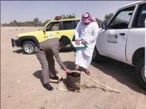 تحصين وردم 909 بئرًا مكشوفًا في 4 مناطق