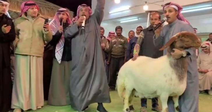 شاهد.. أغلى نعجة في العالم