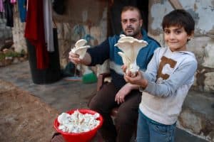  نازح سوري يتحدى غلاء المعيشة بزراعة الفطر في إدلب