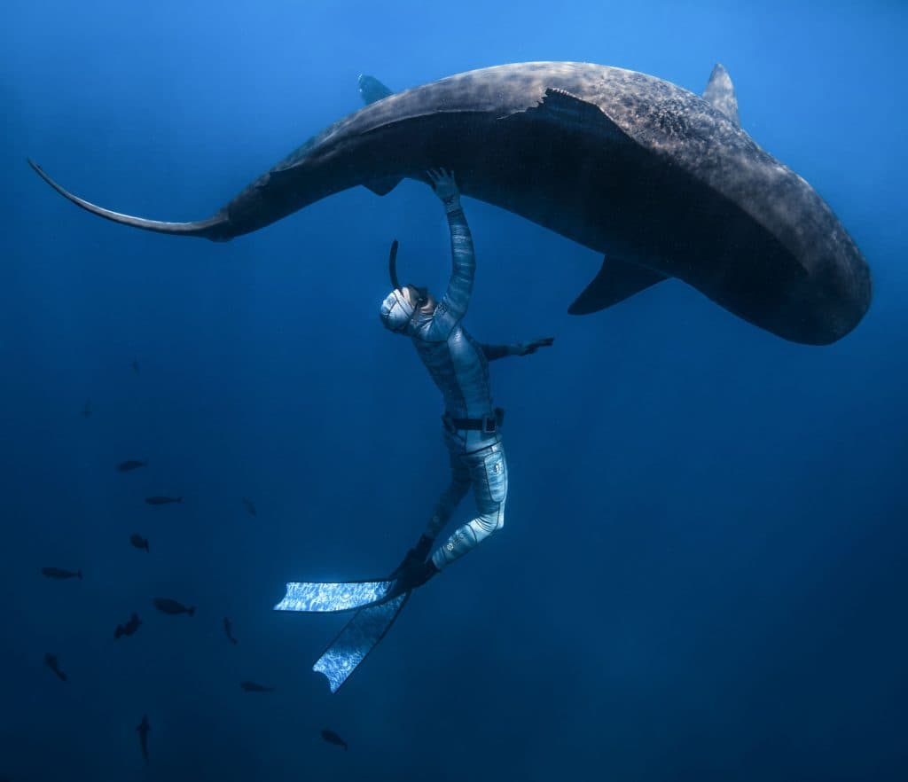 FRANCE-OVERSEAS-POLYNESIA-ANIMAL