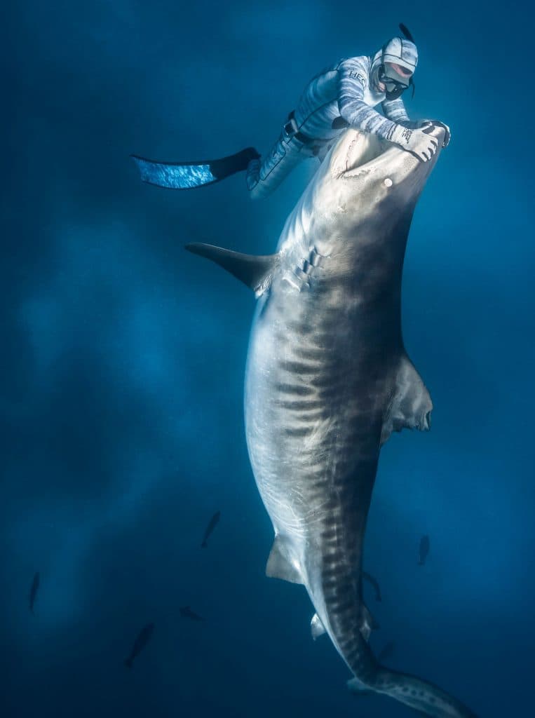 FRANCE-OVERSEAS-POLYNESIA-ANIMAL