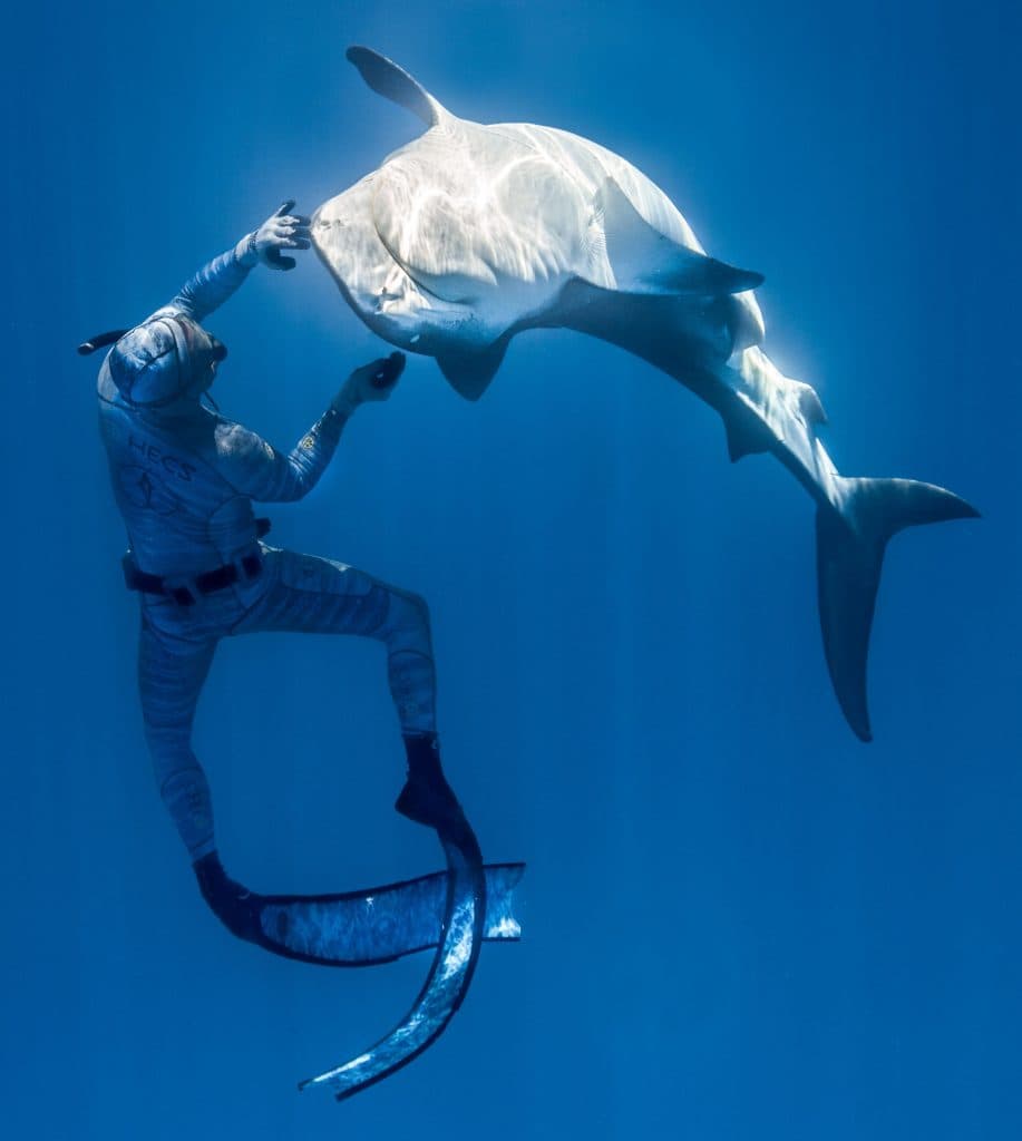FRANCE-OVERSEAS-POLYNESIA-ANIMAL
