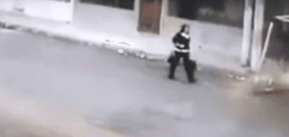 كلبان يقومان بدور الشرطة وينقذان امرأة من سطو مسلح