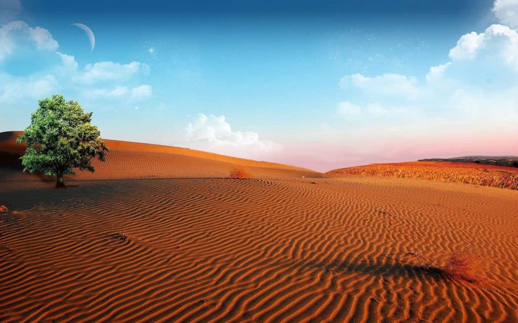 5.-KALAHARI-DESERT