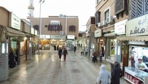 الطائف على أعتاب الانضمام للمدن الصحية العالمية