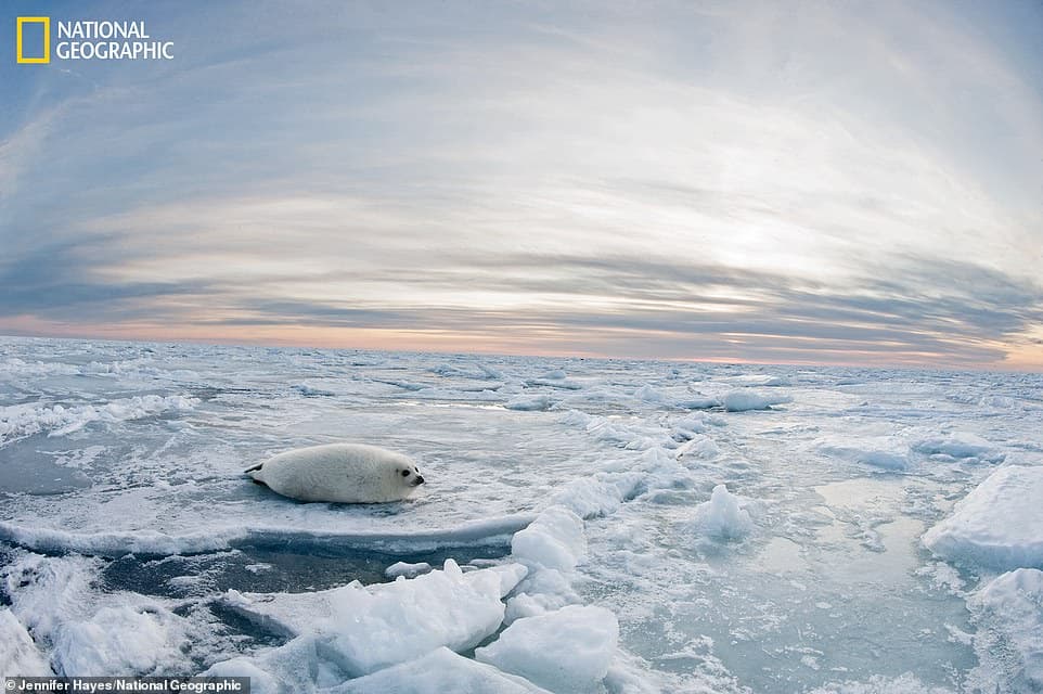 magdoline Islands