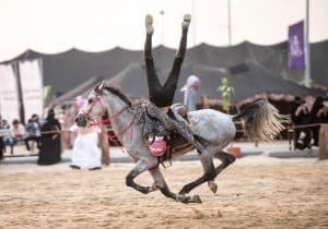 فرسان الصحراء في “بقيق” يعيدون زمن الفروسية والبارود