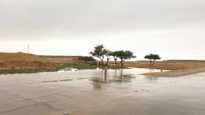 أمطار رعدية على المرتفعات الجنوبية وسماء غائمة جزئيا على باقي المناطق