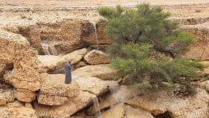 شاهد.. أجواء الرياض الساحرة في إجازة الربيع