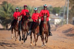 قريباً.. انطلاق كأس خادم الحرمين الشريفين لسباق القدرة والتحمل 2020