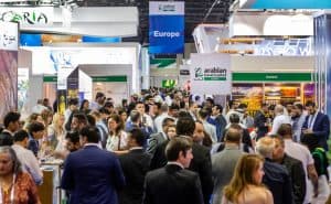 810 ملايين دولار عائدات الخليج من السياحة الإسكندنافية والمملكة ثانياً