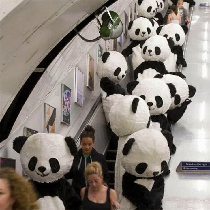 Pandas-min