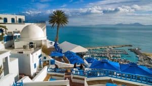 تونس تشهد أول حالة وفاة بفيروس إنفلونزا الخنازير