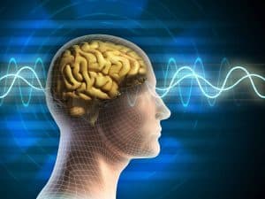 تعرف على المادة الرمادية في الدماغ.. وماذا تفعل بها الرياضة