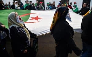 الحراك الجزائري ينظّم صفوفه بعد نحو عام من التظاهرات