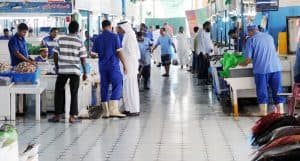 سوق السمك المركزي بجدة يشهد وفرة في المخزون الغذائي واستقراراً في الأسعار