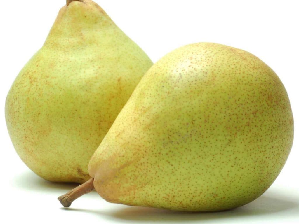 الكمثرى
