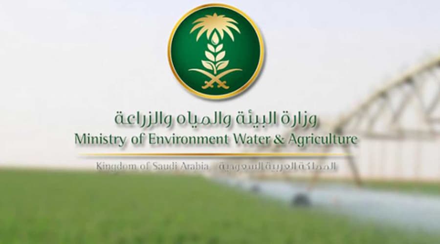 “البيئة” تكشف عن نتائج الدراسة التطبيقية لمحاصيل الزراعة المطرية