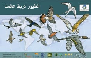 اليوم العالمي للطيور المهاجرة تحت شعار «الطيور تربط عالمنا»