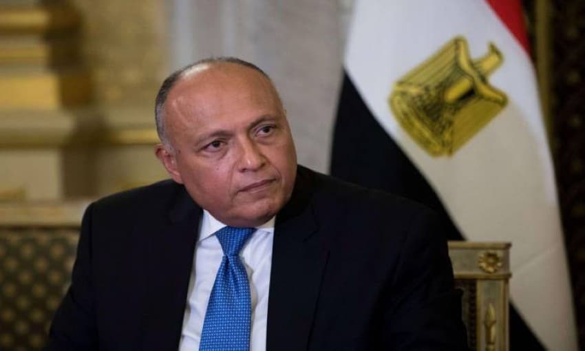 وزير الخارجية المصري يوجه خطاباً إلى رئيس مجلس الأمن بشأن أزمة سد النهضة