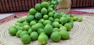 بدء موسم ليمون البنزهير في محافظة وادي الدواسر