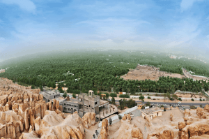 موسوعة غينيس تُسجل الأحساء أكبر واحة في العالم