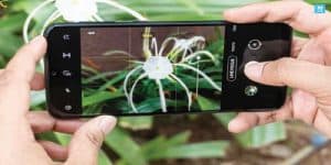 Samsung Galaxy M 31.. تفاصيل مميزة بمظهر عادي