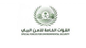 الأمن البيئي: حددنا هوية مؤذي السلاحف