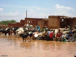 ارتفاع أعداد المتضررين من الأمطار والسيول في السودان