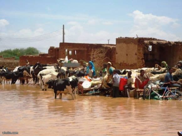 الالكسو تدعو المجتمع الدولي إلى التحرك السريع للتعامل مع فيضانات السودان