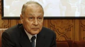 الأمين العام للجامعة العربية: الدول العربية قطعت أشواطًا في مسيرة التنمية المستدامة