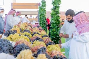 أكثر من 40 طن حجم المبيعات في مهرجان العنب بالقصيم