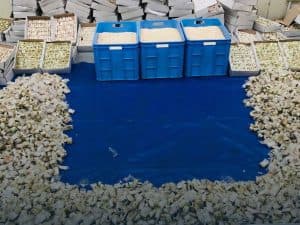 الجمارك تحبط محاولة تهريب أكثر من 3 ملايين حبة كبتاجون