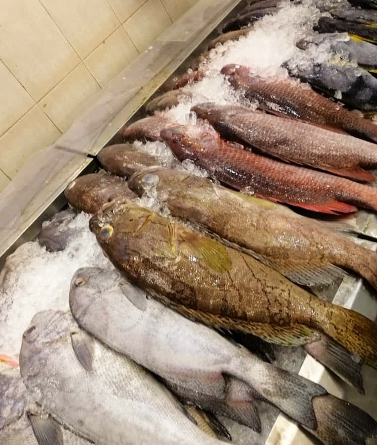 بلدية الشوقية بمكة تواصل حملاتها الميدانية على سوق السمك المركزي