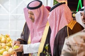 أمير الباحة يطلق فعاليات مهرجان الرمان التاسع.. الاثنين المقبل