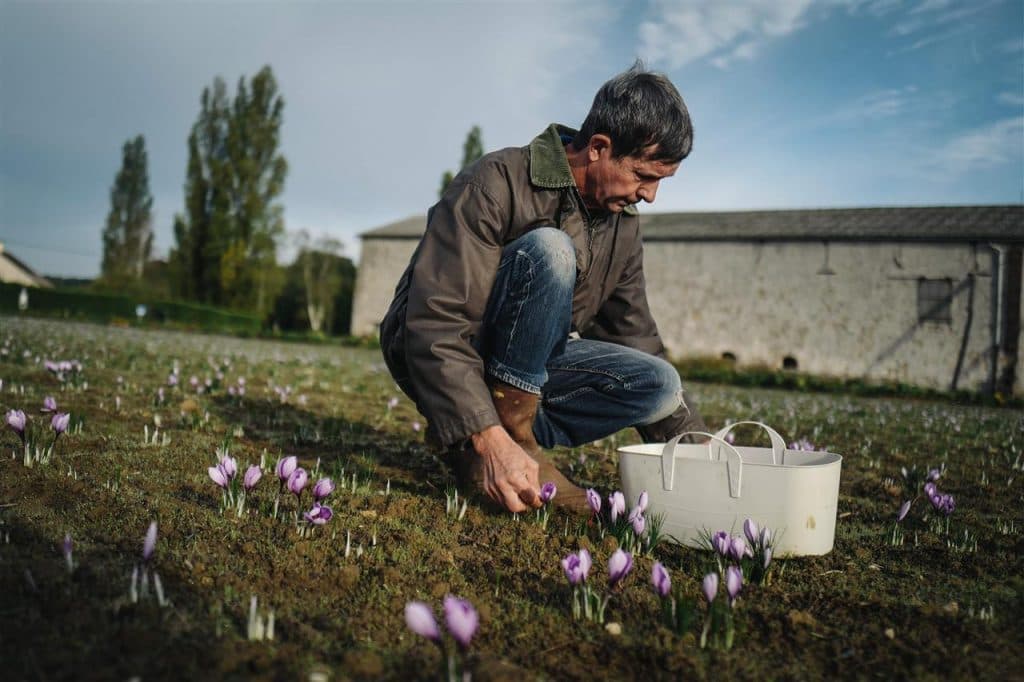 581587-01-08