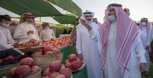 الأمير فيصل بن مشعل يشهد اليوم الذهبي لمهرجان رمان القصيم