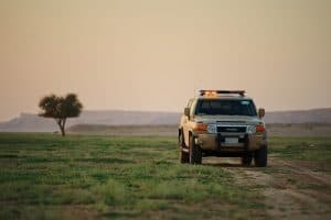 “الأمن البيئي” تعلن مخالفات قطع الأشجار وبيع الحطب المحلي