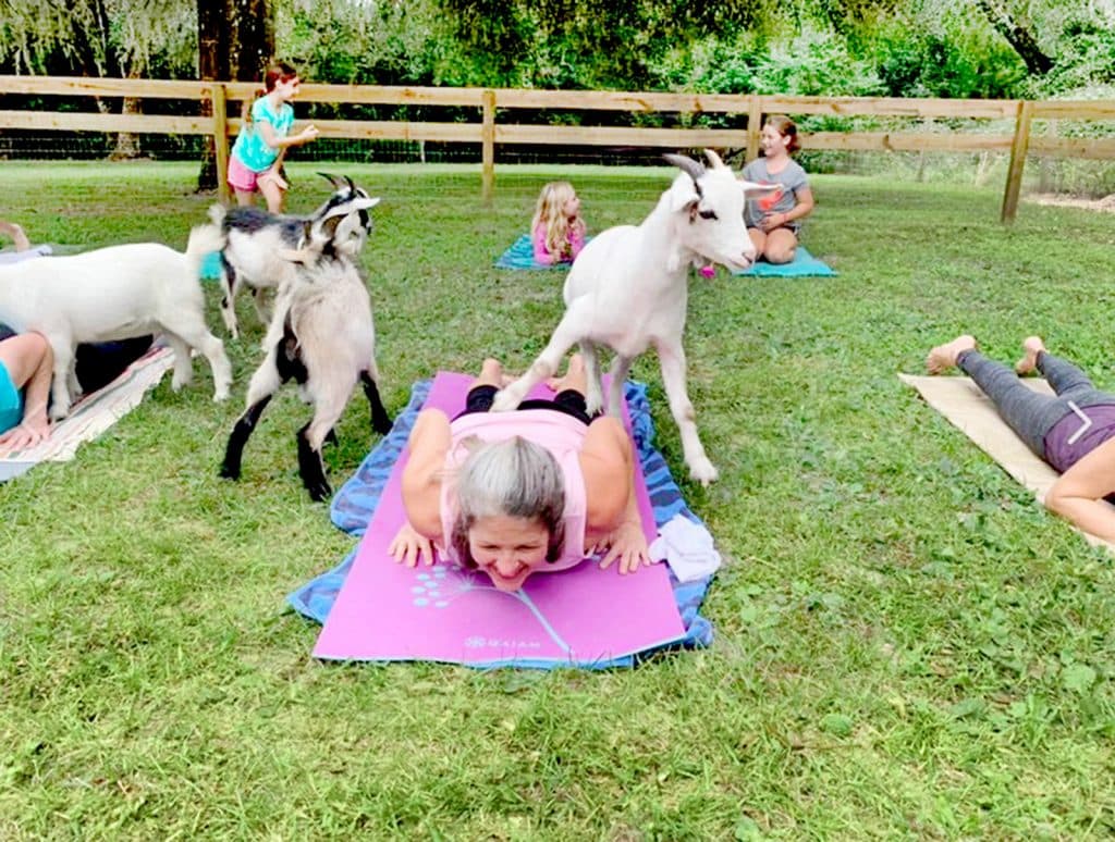 GoatYogaFarmDeLand-1600