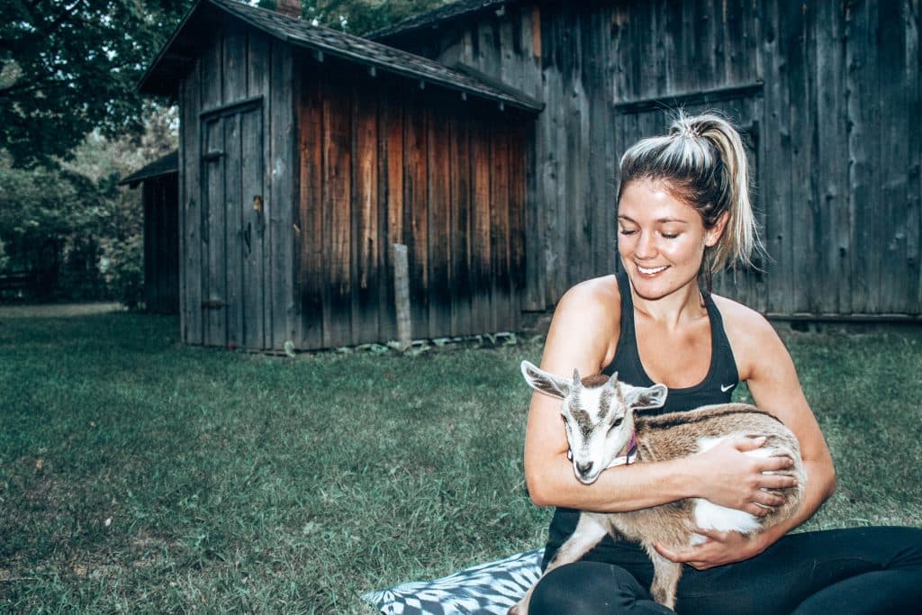 adorable-goat-yoga-11