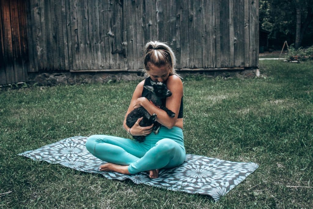 adorable-goat-yoga-14