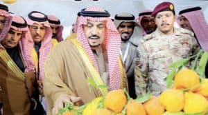 أمير الرياض يوافق على تنظيم مهرجان الحمضيات في الحريق